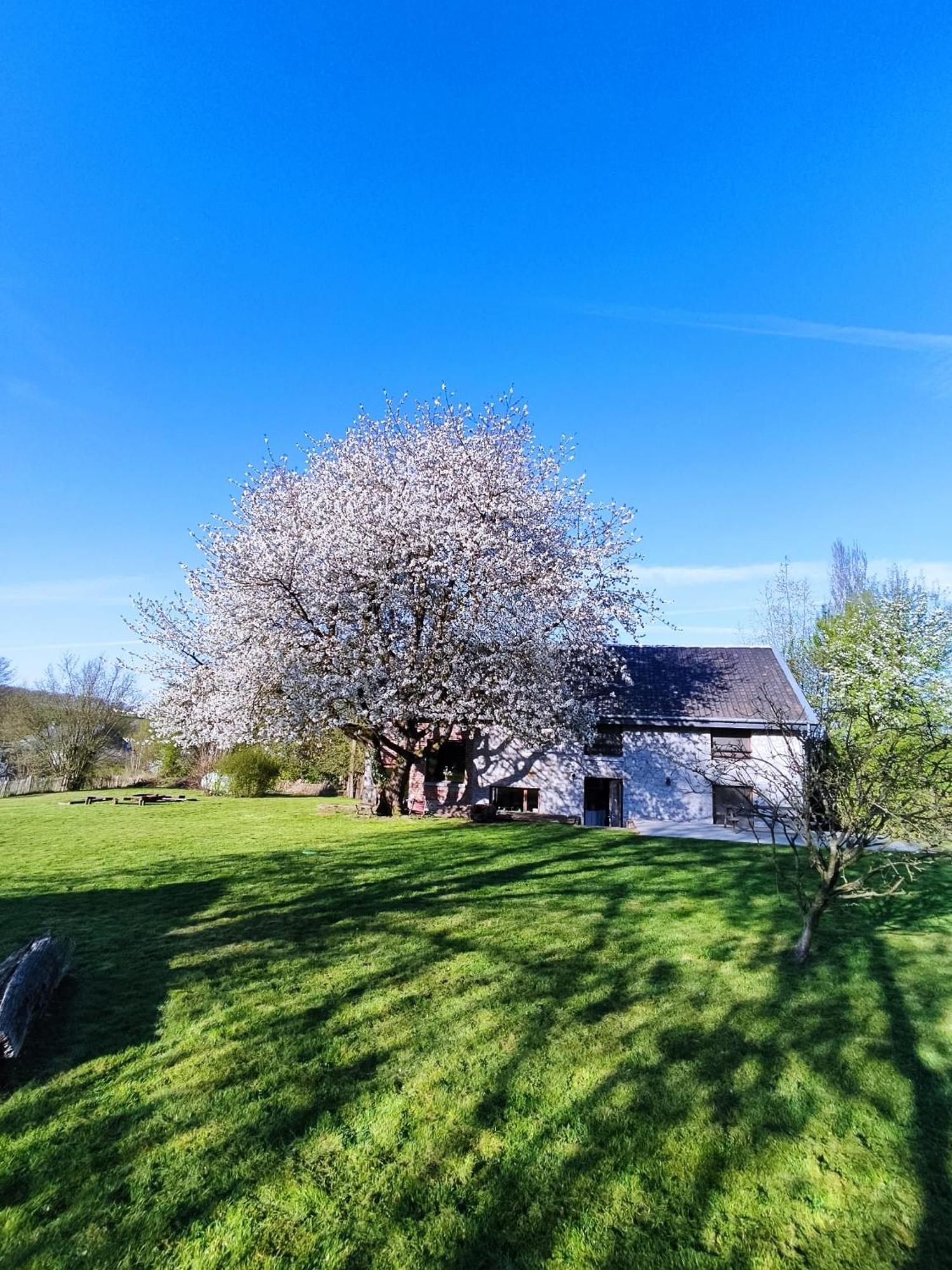 Gerestaureerde Hoeve Met Zicht Durbuy Esterno foto